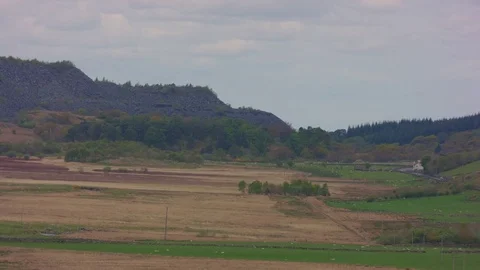 RockyLandscape and Trees Видео 75580513