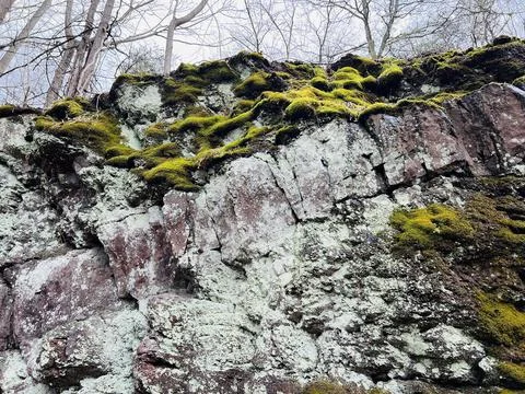 RockyMoss Stock Photos