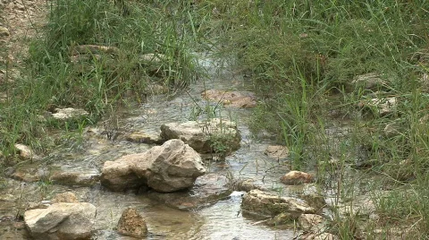 RockyStream Video stock 532553