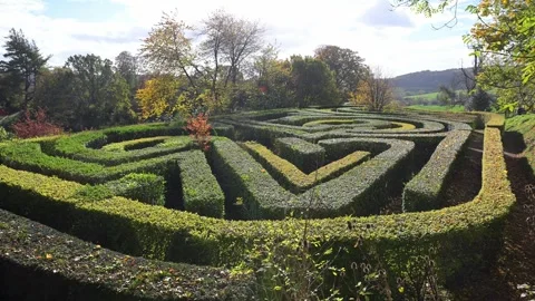 The Rococo Garden Maze. Stock Footage 321461392