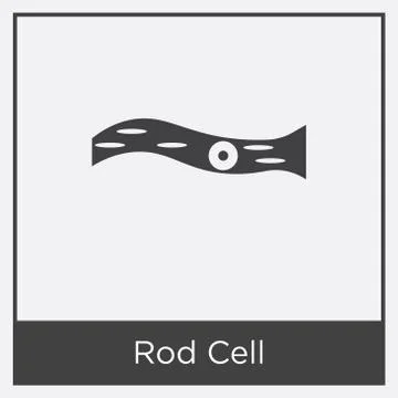 Rod Cell icon isolated on white background Free Stock Illustration