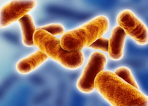 Rod shaped bacillus bacteria Stock Illustration