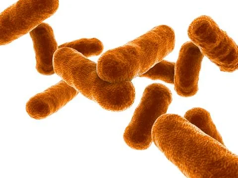 Rod shaped bacillus bacteria Stock Illustration