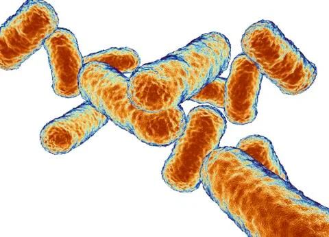 Rod shaped bacillus bacteria Stock Illustration