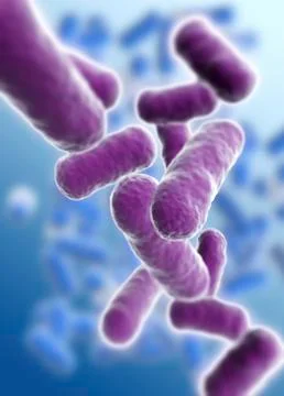 Rod shaped bacillus bacteria Stock Illustration