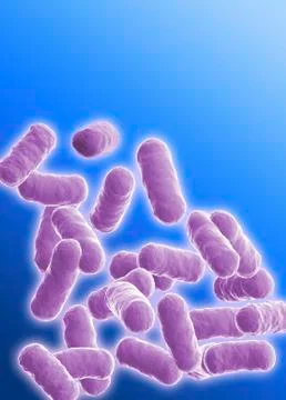 Rod shaped bacillus bacteria Stock Illustration