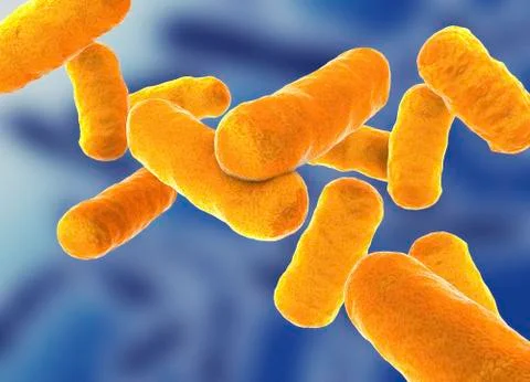 Rod shaped bacillus bacteria Stock Illustration