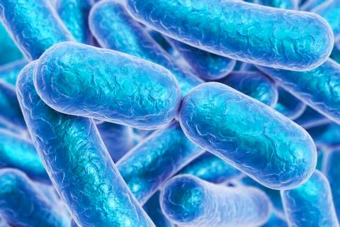 Rod shaped bacteria Stock Illustration