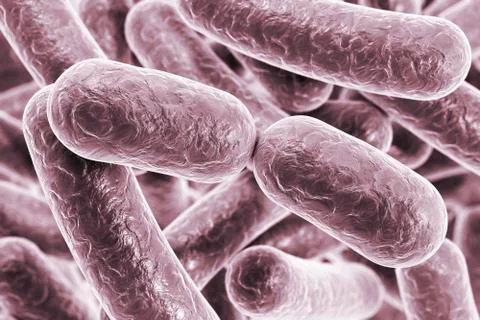 Rod shaped bacteria Stock Illustration