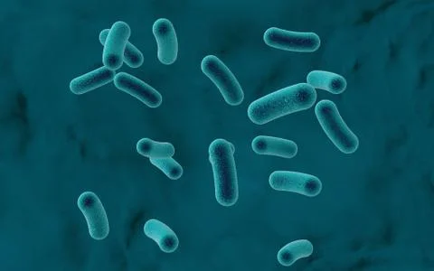 Rod shaped bacteria Illustrazione stock