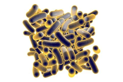 Rod shaped bacteria Stock Illustration
