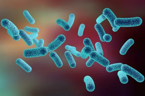 Rod shaped bacteria Stock Illustration