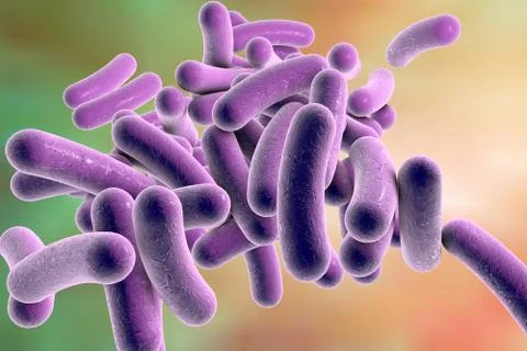 Rod shaped bacteria Illustrazione stock