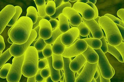 Rod shaped bacteria Stock Illustration