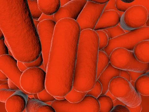 Rod shaped bacteria Stock Illustration