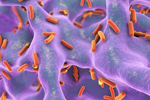 Rod-shaped bacteria inside bone tissue Illustrazione stock