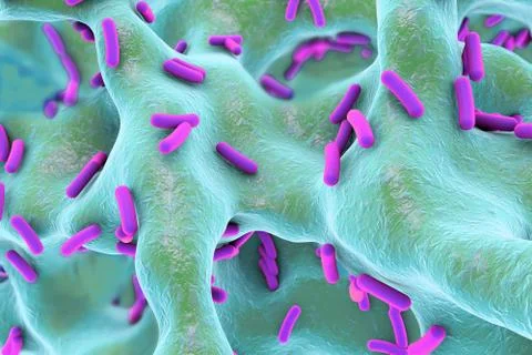 Rod-shaped bacteria inside bone tissue Illustrazione stock