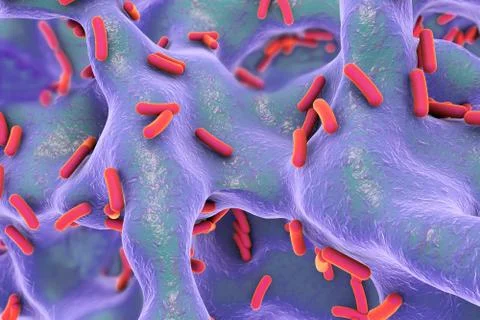 Rod-shaped bacteria inside bone tissue Illustrazione stock