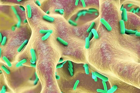 Rod-shaped bacteria inside bone tissue Illustrazione stock