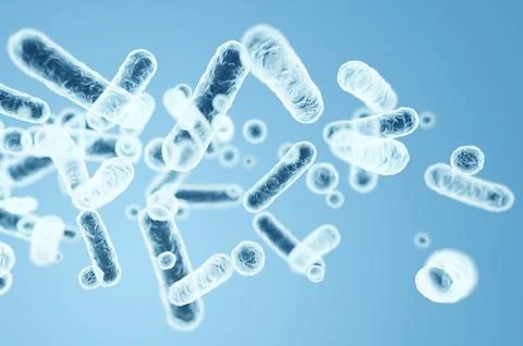 Rod-shaped Enterobacteriaceae, intestinal microbiome bacteria and causative a Stock Illustration