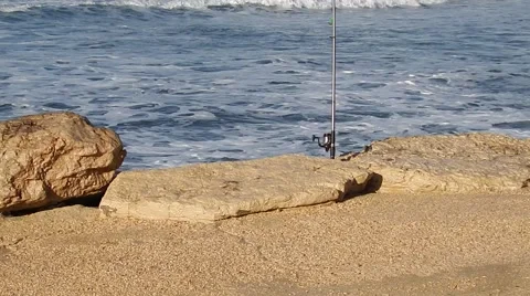 Rod shore and a wave Stock-Footage 65779504