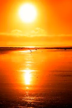 Rod on a sunset beach Stock Photos