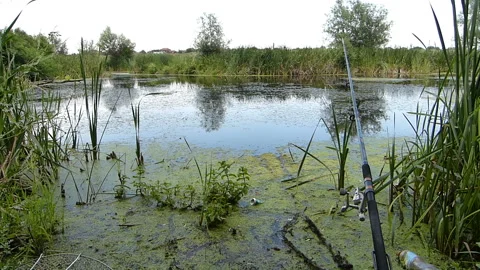 Rod swept into the river. Video stock 236714142