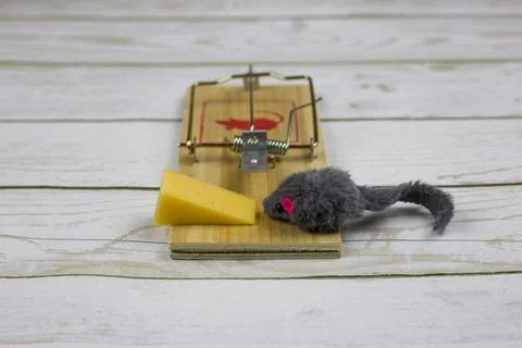 Rodent extermination concept Foto stock