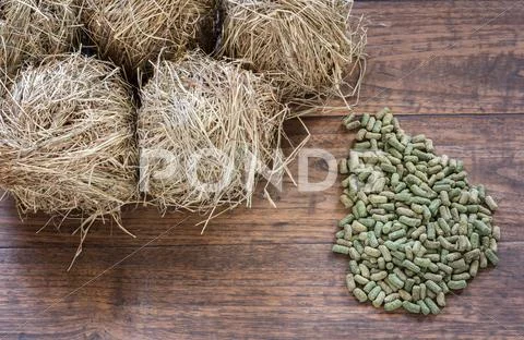 Rodent food and hay on grunge wooden background. Stock Photos