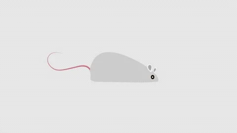 Rodent rat mouse mice concept icon animation with alpha channel Stock Footage 277176322