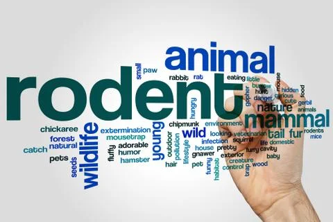 Rodent word cloud Stock Photos