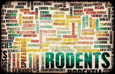 Rodents Stock Illustration