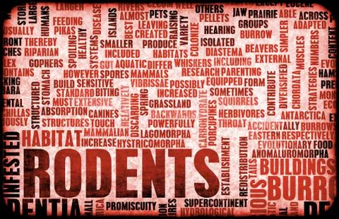 Rodents Stock Illustration