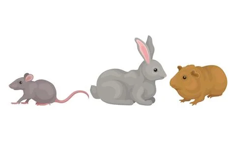Rodents with Rabbit and Mouse Having Robust Bodies and Short Limbs Vector Set Stock Illustration