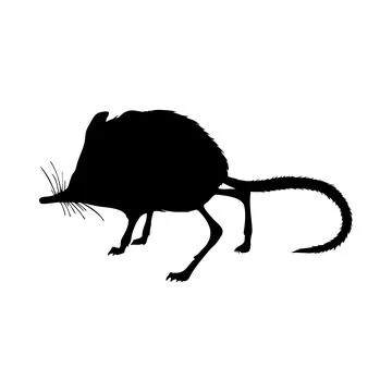 Rodents silhouettes Stock Illustration