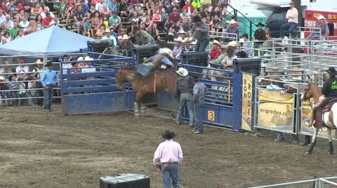 Rodeo bronco 3 Stock Footage 40872462