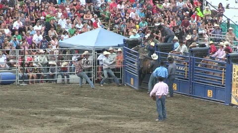 Rodeo bronco 4 Stock Footage 40872463