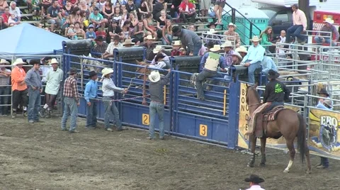 Rodeo bronco 7 Stock Footage 40872349