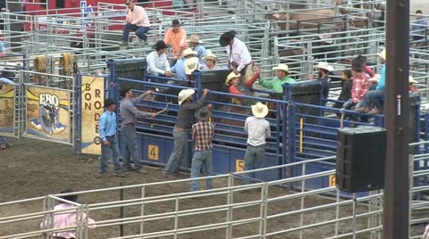 Rodeo bronco no saddle 1 slowmotion Stock Footage 40872167
