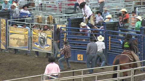 Rodeo bronco no saddle 2 slowmotion Stock Footage 40872425