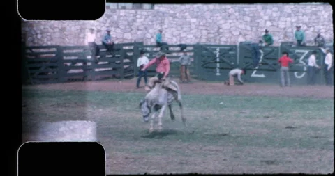Rodeo bronco riding event Stock Footage 202053671