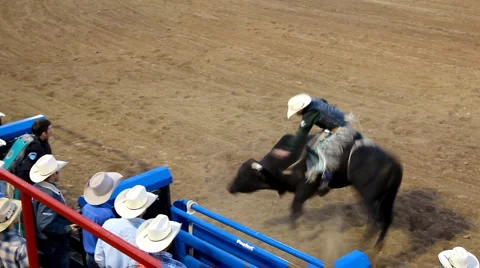 Rodeo bull riding Stock Footage 1216092