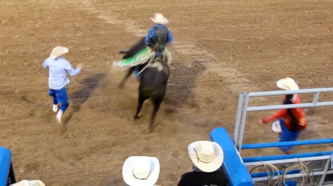 Rodeo bull riding Видео 1216153