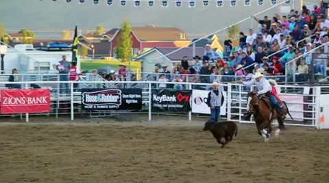 Rodeo Calf roping Stock Footage 7736871