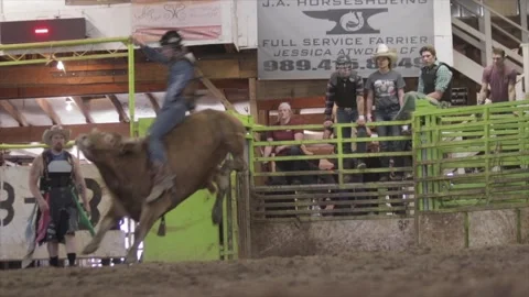 Rodeo class in the USA Stock Footage 156111743