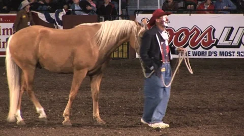 Rodeo clown and horse Stock Footage