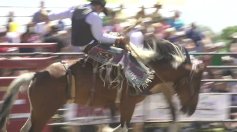 Rodeo cowboy Vidéo 37304690