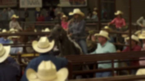 Rodeo Cowboys Stock Footage 50192814