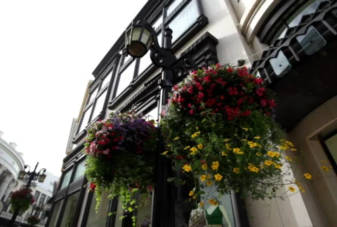 Rodeo Drive 02 SD 스톡 동영상 765561