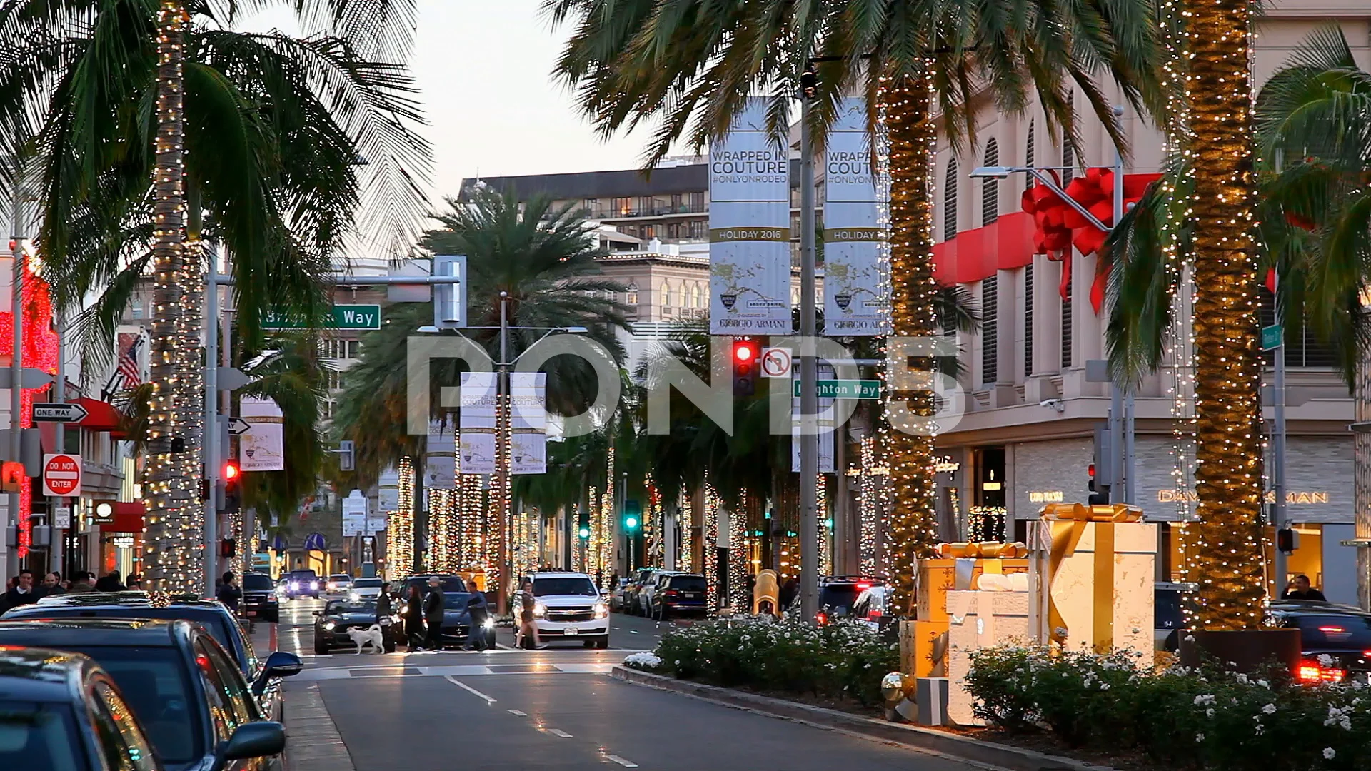 Palm Trees In Rodeo Drive At Night. Beverly Hills, California